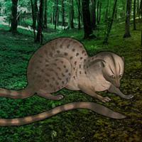 Escape Game: Save The Civet Cat