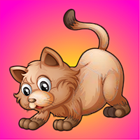 play Escape Angry Cat