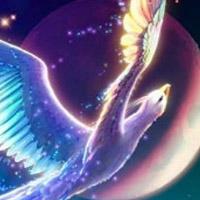 Birds-Paradise-Fantasy-Hidden-Stars