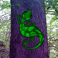 play G2R Anole Lizard Forest Escape