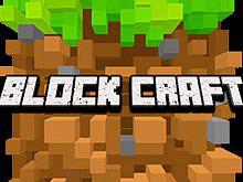 play Block Craft 3D