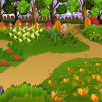play Thanksgiving-Caged-Turkey-Escape