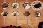 play Harry Potter Dolores Cats
