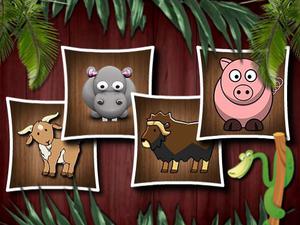 play Animal Shapes 3