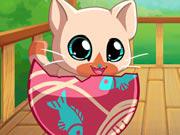 play My Pocket Pets: Kitty Cat