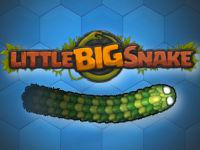 play Littlebigsnake