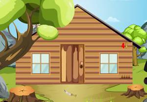 play Rescue The Village Girl