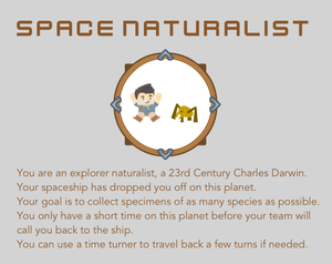 play Space Naturalist