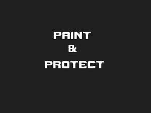 play Paint & Protect