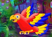 play Colorful Parrot Escape