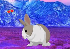 play Love Rabbit Escape