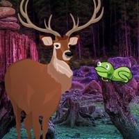 Save The Elk Deer