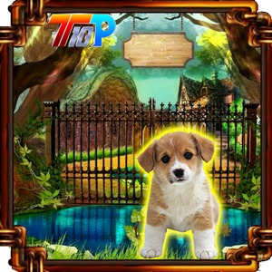 play Release The Cute Puppy