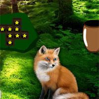 Blue Eyed Fox Forest Escape