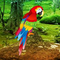 play Scarlet Macaw Forest Escape