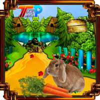 play Top10 Rescue The Cute Little Bunny