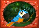 play G4E Cursed Bird Rescue