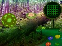 play G2R Forest Habitat Escape
