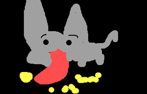 play Feed