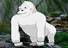 play White Gorilla Escape