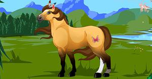 play Pony Dress Up