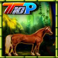 play Top10 Save The Horse