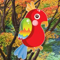 play Hiddenogames Hidden Birds