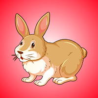 play Escape The Rabbit