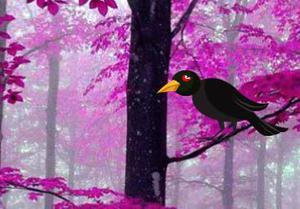 Fantasy Purple Forest Escape