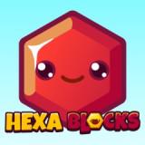 Hexa Blocks