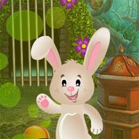 play Bunny Resuce