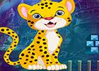 play Rage Leopard Escape G4K