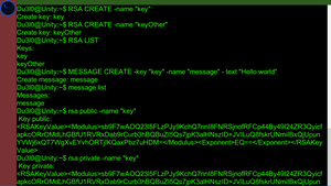 play Terminal Unity With Rsa