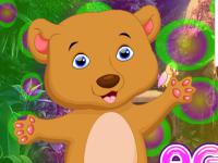 play Aged Bear Rescue