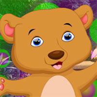 play Aged Bear Rescue