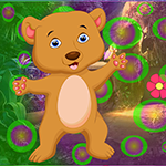 play Aged Bear Rescue