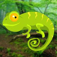 play Hiddenogames Hidden Chameleons