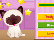 play Kitty Quiz