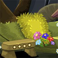 play Deciduous Forest Escape