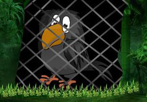play Fun Escape 014