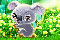 play Happy Koala