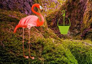 play Flamingo Forest Escape