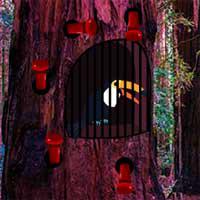 play Zooo-Toucan-Escape-Zooogames