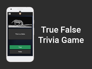 play True False Trivia Game