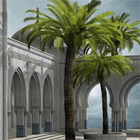 play 365Escape-Magic-Palace