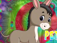 play Petty Donkey Rescue