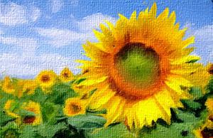 play Sunflowers Room