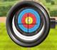 play Archery World Tour