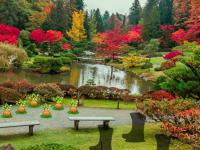 play Botanic Garden Swan Escape