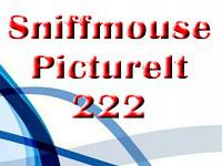 play Pictureit 222